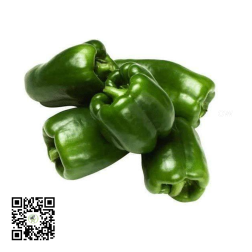 Green Bell Peppers 1kg by AFG - Delivered in Dubai & UAE by OJAMEA.COM