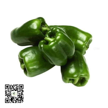 Green Bell Peppers 1kg (Fresh) by African Farm & Gardens (AFG)