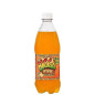 Bigga Orange Flavour 600ml