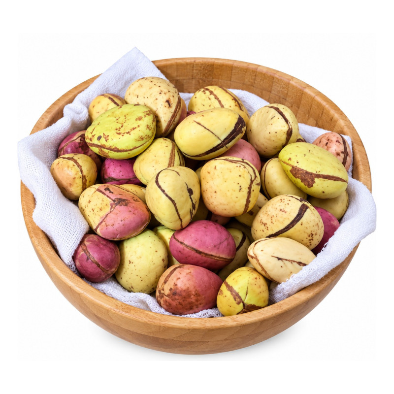 Kola Nut (1 piece)