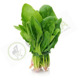Spinach (Fresh) bundle