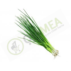 Spring Onions (Portion)