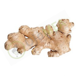 Ginger (pack) 750g