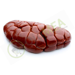 Cow Kidney 1 kg