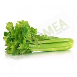 Celery bunch