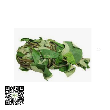 Fresh uziza leaf pack