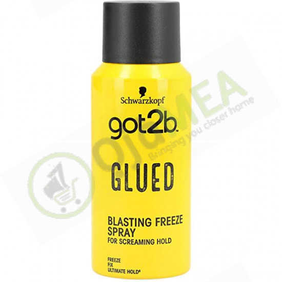 Got2B Glued Freeze Spray...