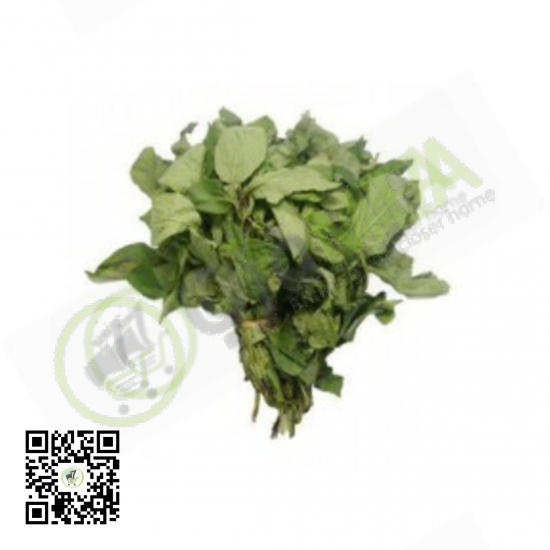 Fresh Scent Leaf (Bundle)