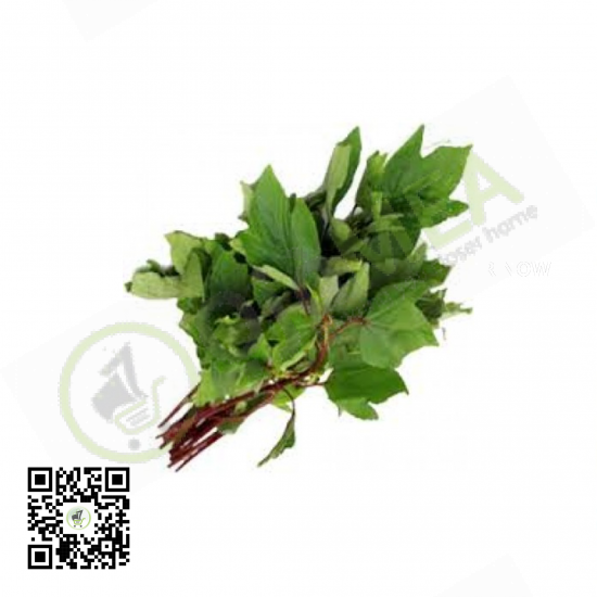 Fresh Yakuwa Leaf bundle