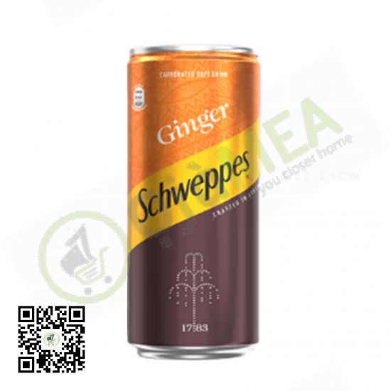 Schweppes Ginger Flavor 300ml