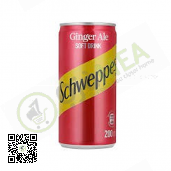 Can Schweppes Ginger Ale 200ml