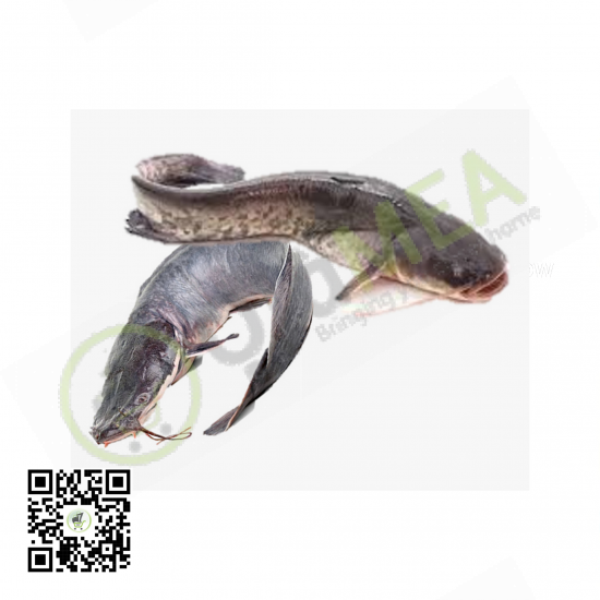 Frozen Catfish (Small Size)...