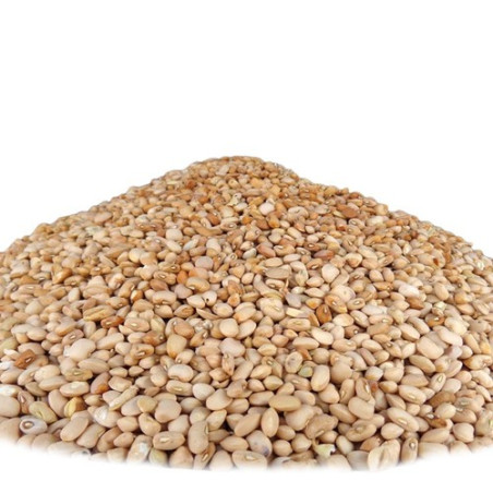 Honey Beans (Oloyin) 1kg by African Farm & Gardens (AFG)