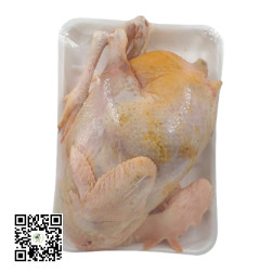 Free Range Chicken (Whole Chicken Uncut)