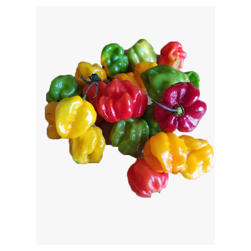 Frozen Pepper (pack) small