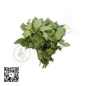 Fresh Scent Leaf 1pack by African Farm & Gardens (AFG)