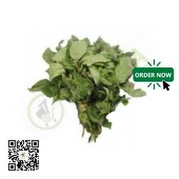 Fresh Scent Leaf 1pack by African Farm & Gardens (AFG)