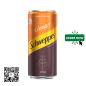 Schweppes Ginger Flavor 300ml