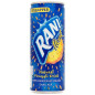 Rani float pineapple 240ml