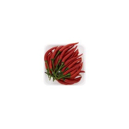 Fresh red chilli 1kg