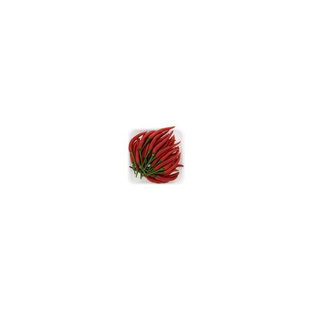 Fresh red chilli 1kg