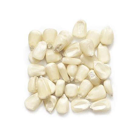 White Maize Dry (Muthokoi)