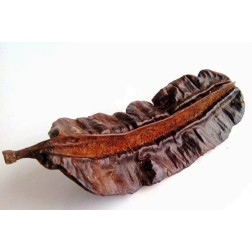 Unlock the secrets of West African culinary tradition and holistic ...