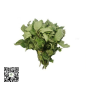 Dry Scent Leaf 100g by African Farm & Gardens (AFG)