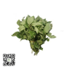 Dry Scent Leaf 100g by AFG, Nigeria - Dubai & UAE by OJAMEA.COM