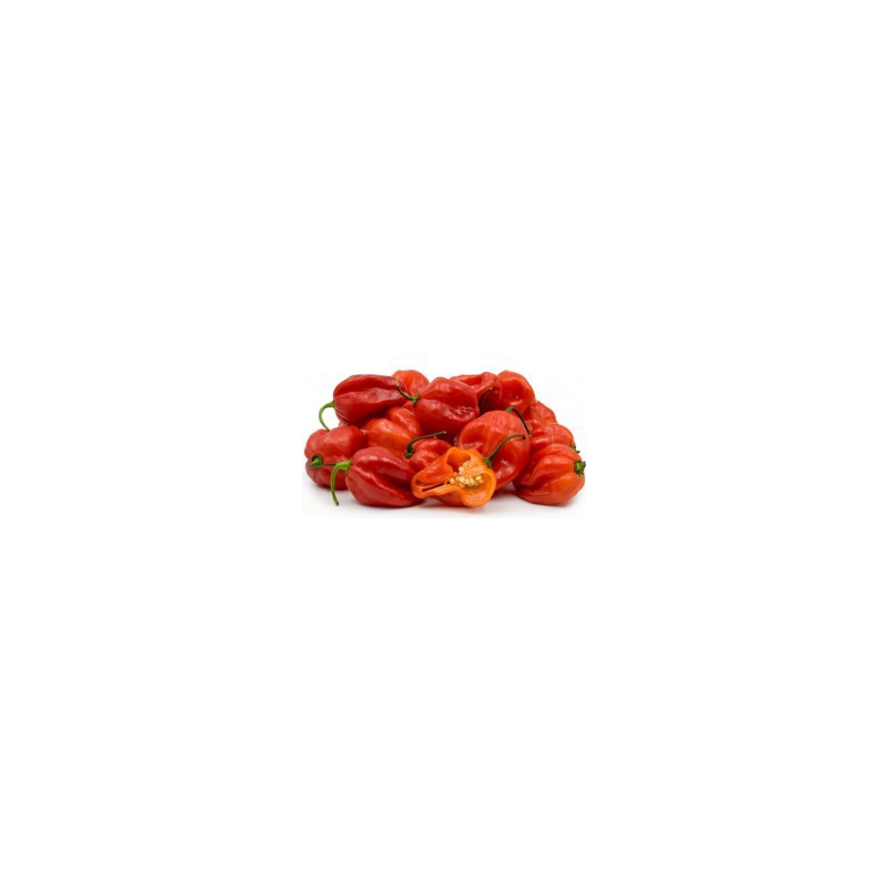Scotch Bonnet (Aka Ata Rodo) Frozen Pepper 1kg