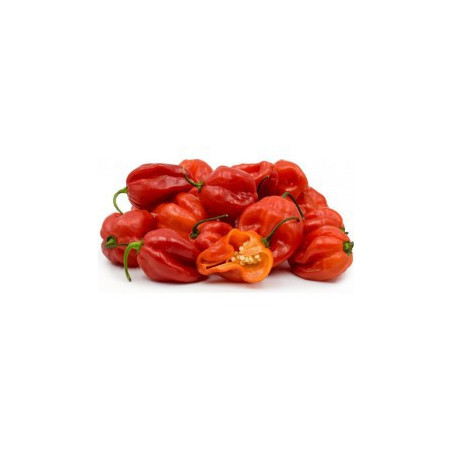 Spice Up Your Culinary Creations with the Authentic Heat of Scotch ...