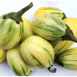 Garden Egg (Egg Plant) 1 Pack, Fresh, Organic | Delivered in Dubai & UAE by OJAMEA.COM