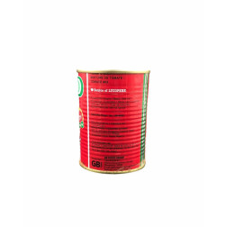 Gino Tomato Paste 400g