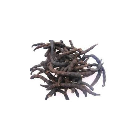Uda Seeds 100g by African Farm & Gardens - Dubai & UAE by OJAMEA.COM